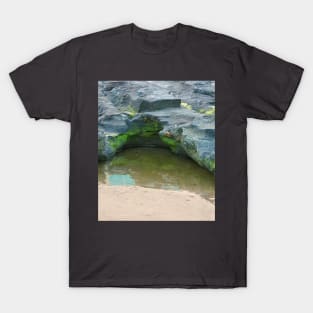 Rock pool and rocks T-Shirt